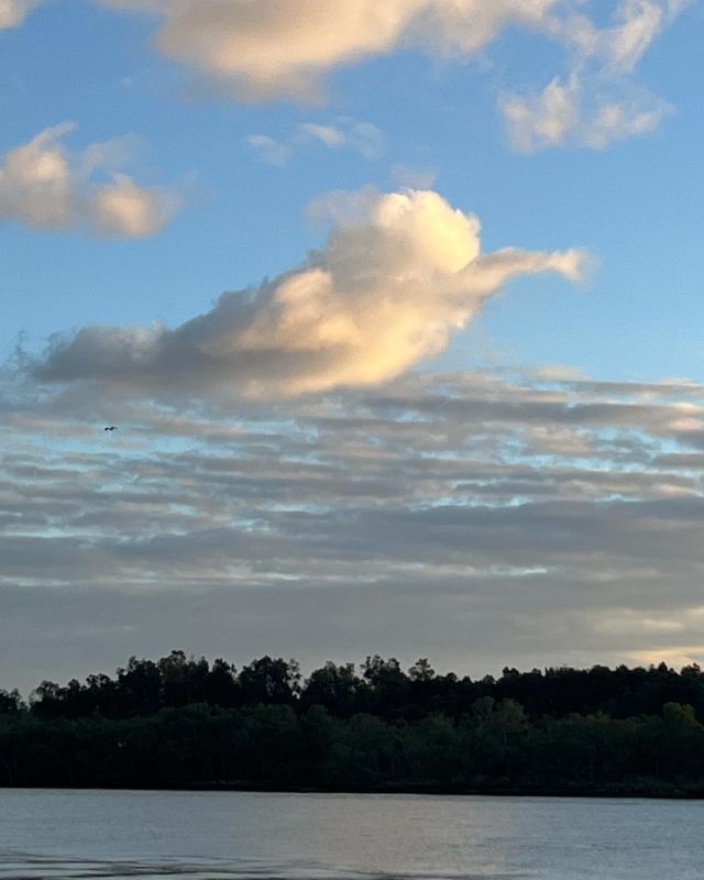 Kookaburra Cloud